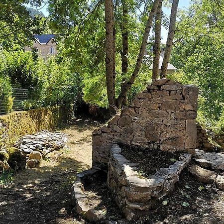 Maison Traditionnelle En Lozere Saint-Saturnin  Eksteriør bilde