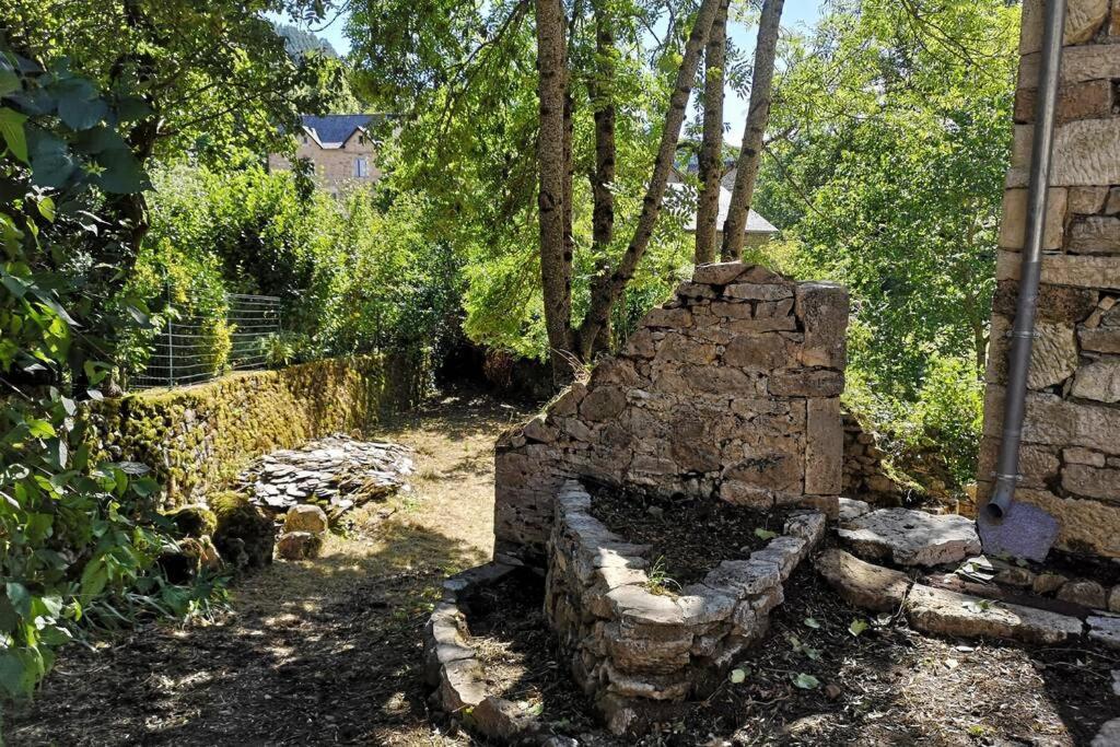 Maison Traditionnelle En Lozere Saint-Saturnin  Eksteriør bilde