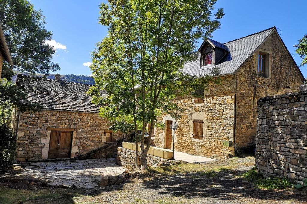 Maison Traditionnelle En Lozere Saint-Saturnin  Eksteriør bilde